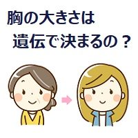 067.genetic-for-bust-size_00